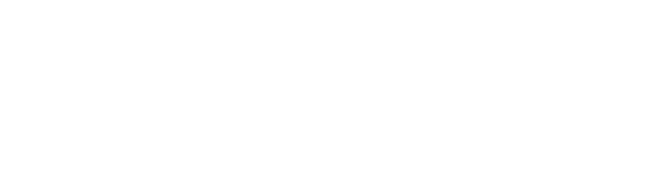 NEIMUS360 Logo